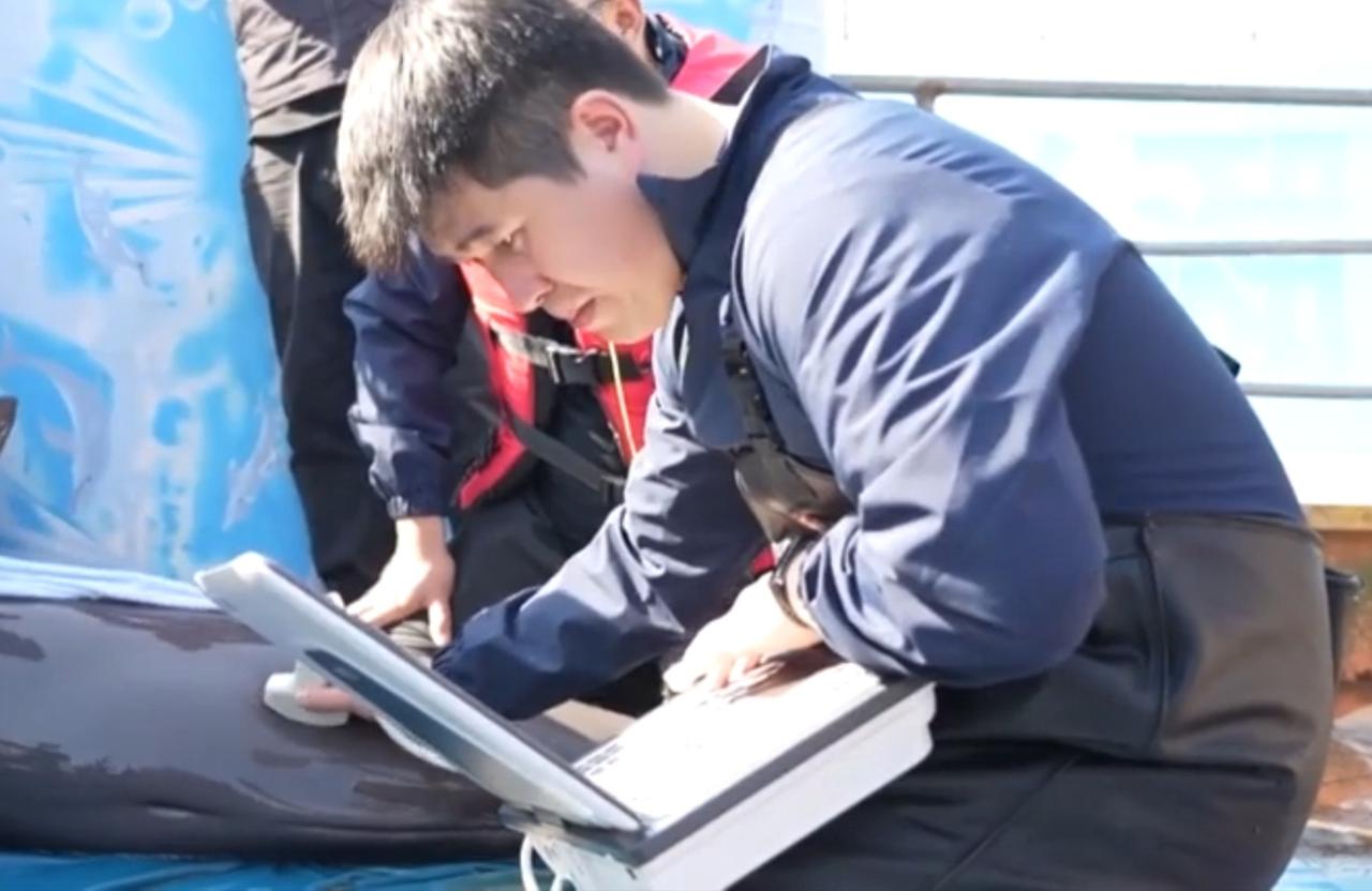 镜头先展现江豚保护工作现场，工作人员借助设备为江豚开展检测，蓝色的江豚暂养箱矗立