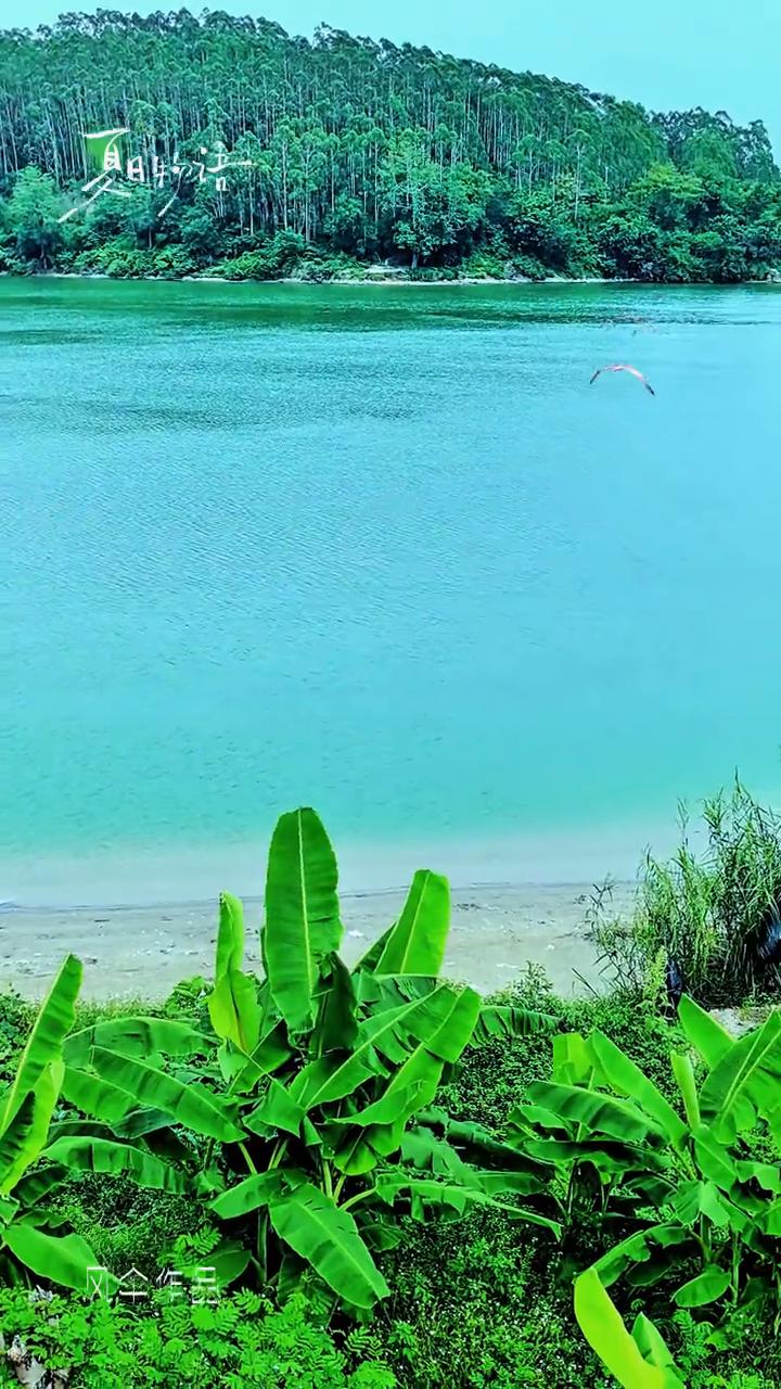 剪刀村边远眺邕江美景。
是日语。