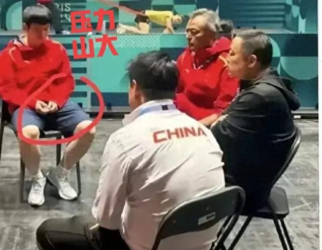 别催樊振东了，他退出的从来不是乒乓球