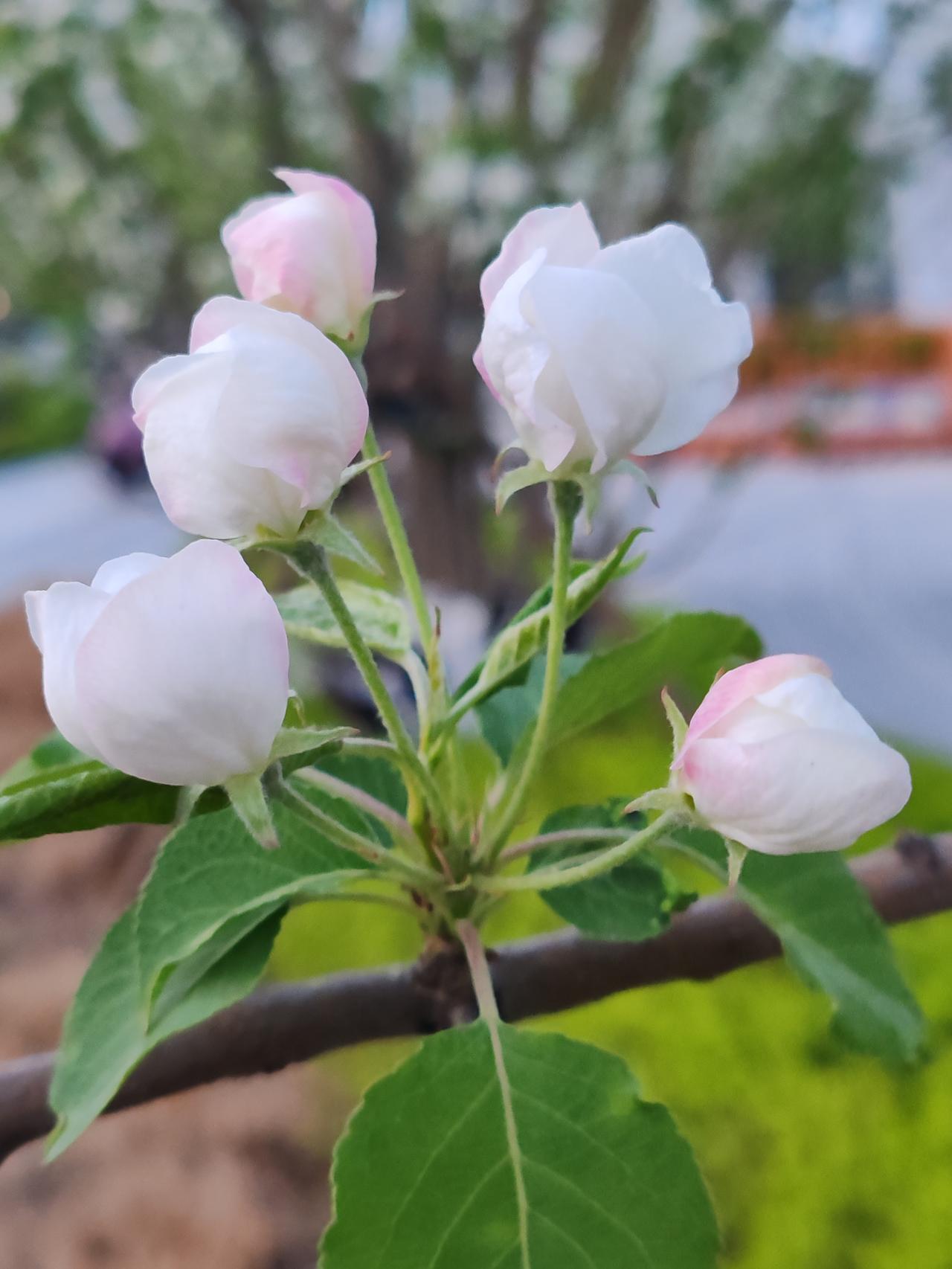 自然是关灯睡，关灯睡觉有助于提升睡眠质量。不过有时候实在太累，在床上看书或者看手