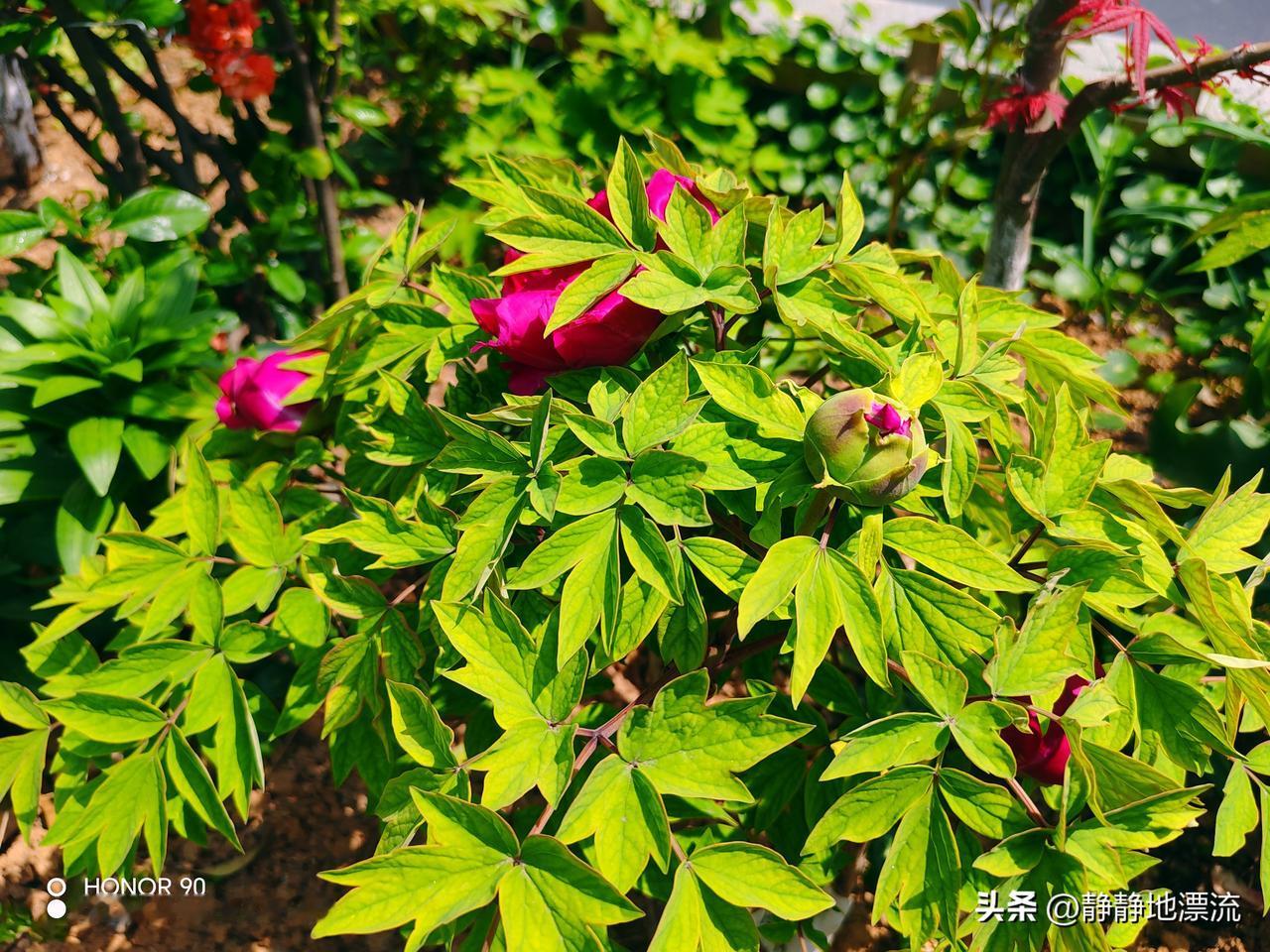 四川55岁大妈退休金9800，和58岁大叔相亲，准备领证时，突然看到他的身份证，