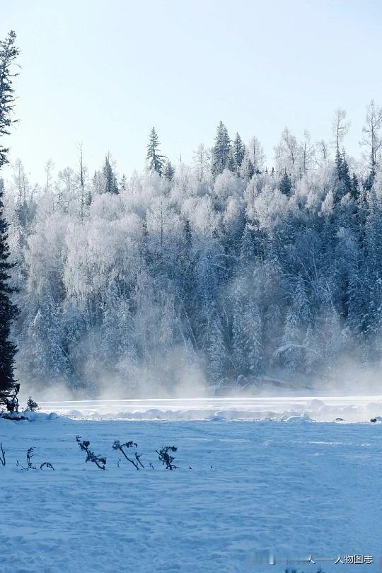 今年冬天的不同