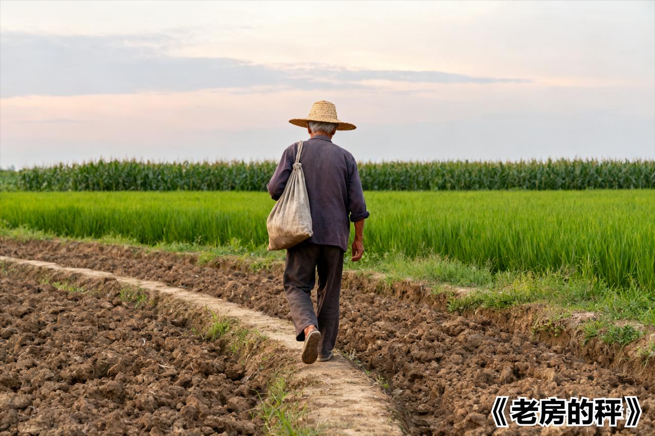 堂哥想借我翻新的老房给侄子当婚房。侄子刚凑够彩礼，盖房没地皮，堂哥说住两年就搬。