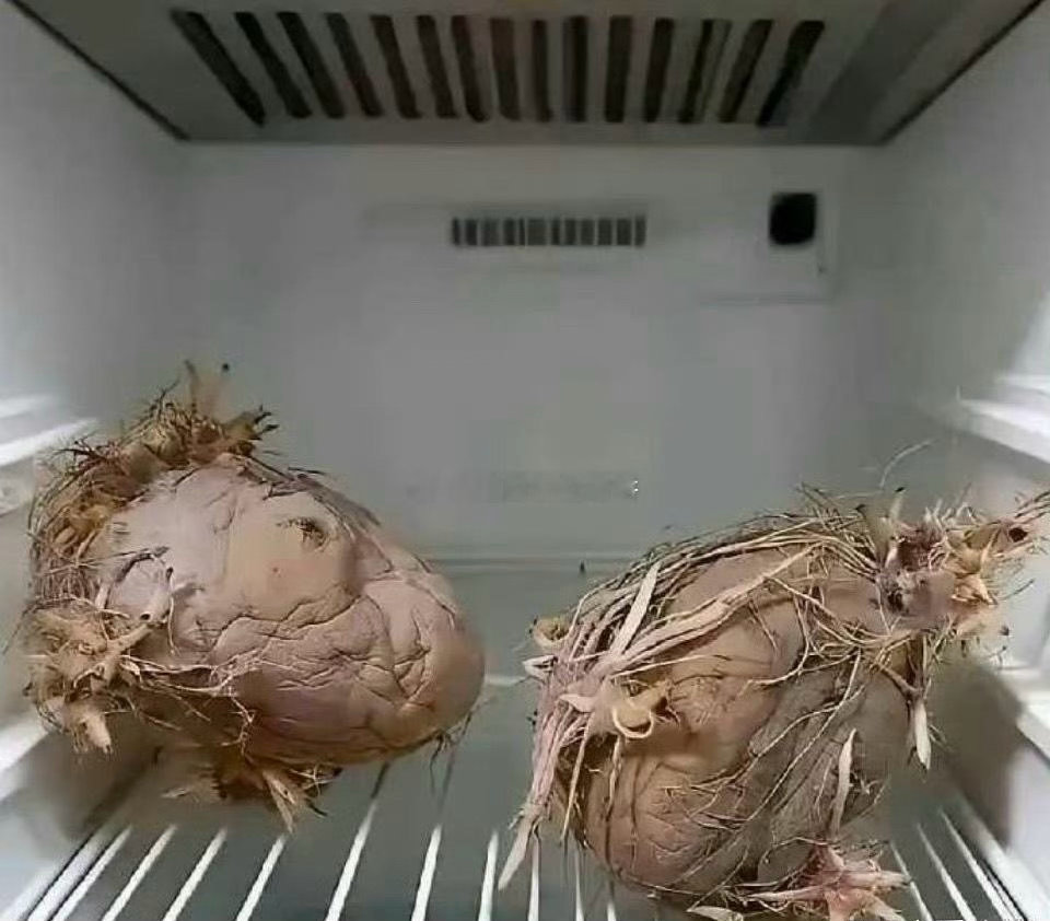 都这样了，老人还留着电费都比它们贵 