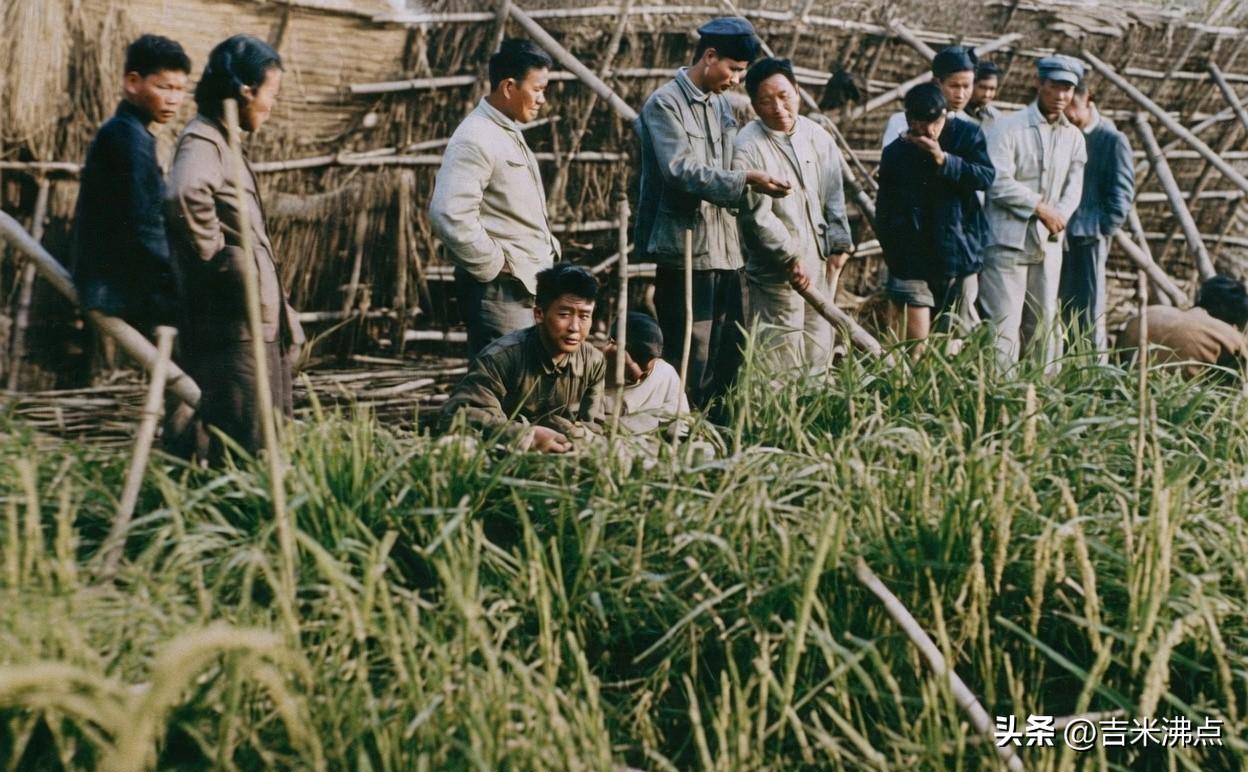 老照片里炊烟还没散，人已走远，谁还在灶台边等一碗饭。
我翻到一盒发黄的相片，塑料