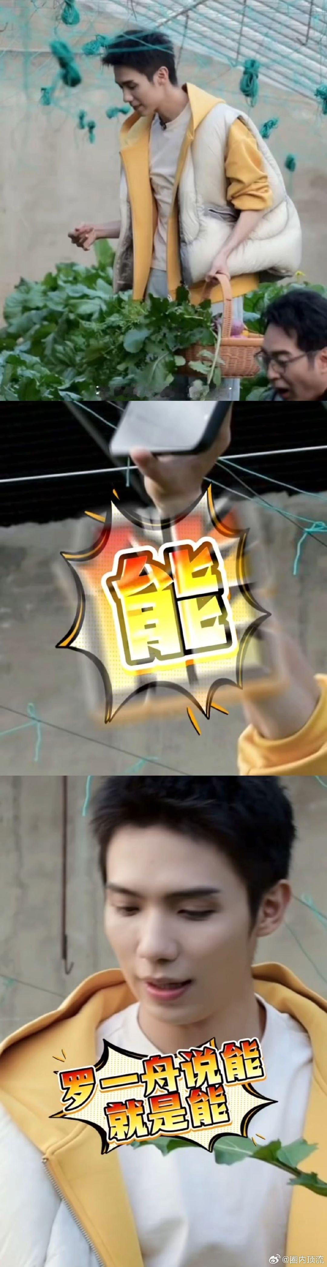 第一次见明星在蔬菜大棚拍大片！罗一舟用实力验证“说能就是能”，明黄外套搭白T满是