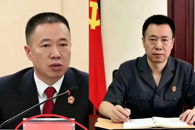 这操作真让人开了眼了。一边在成都成华区法院当院长，正襟危坐敲法槌，一边悄悄挂靠在