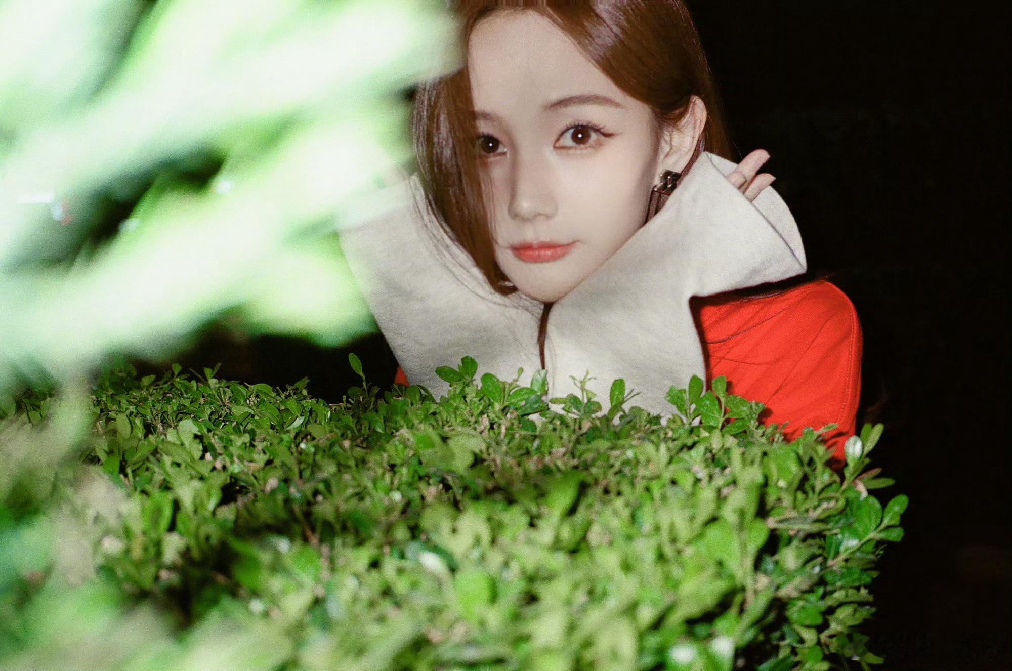 李一桐三秒出片 掉落日常照片！是红红火火的🍐耶这么权威的照片三秒就拍完了