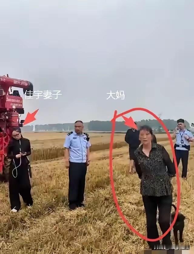 “太寒心了！”河南一对05后小夫妻为帮襄阳农户抢收小麦，千里迢迢开着农机救粮，谁
