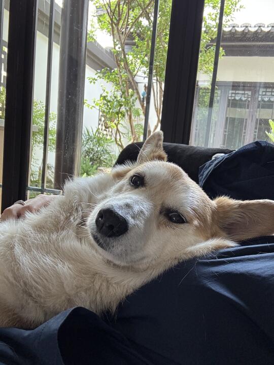 抱着睡午觉