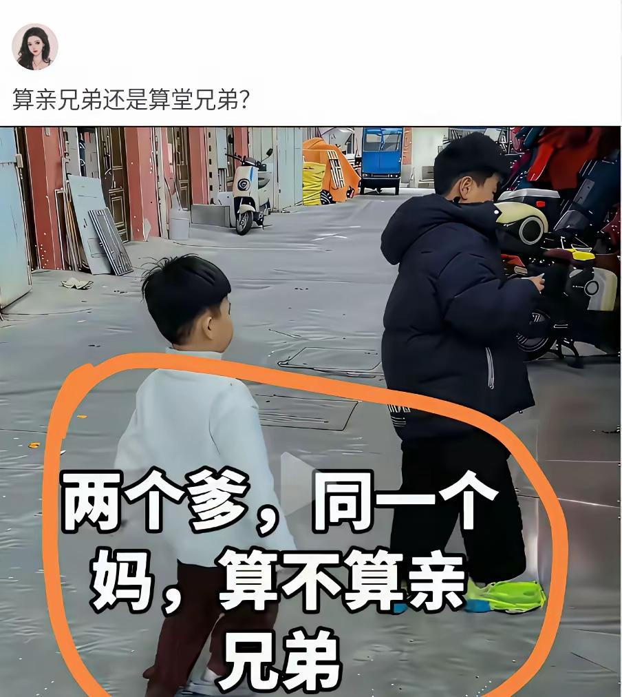 是吗？
同母异父的兄弟，不是亲兄弟，缺少了同宗同源，若是在母系社会有可能是亲兄弟