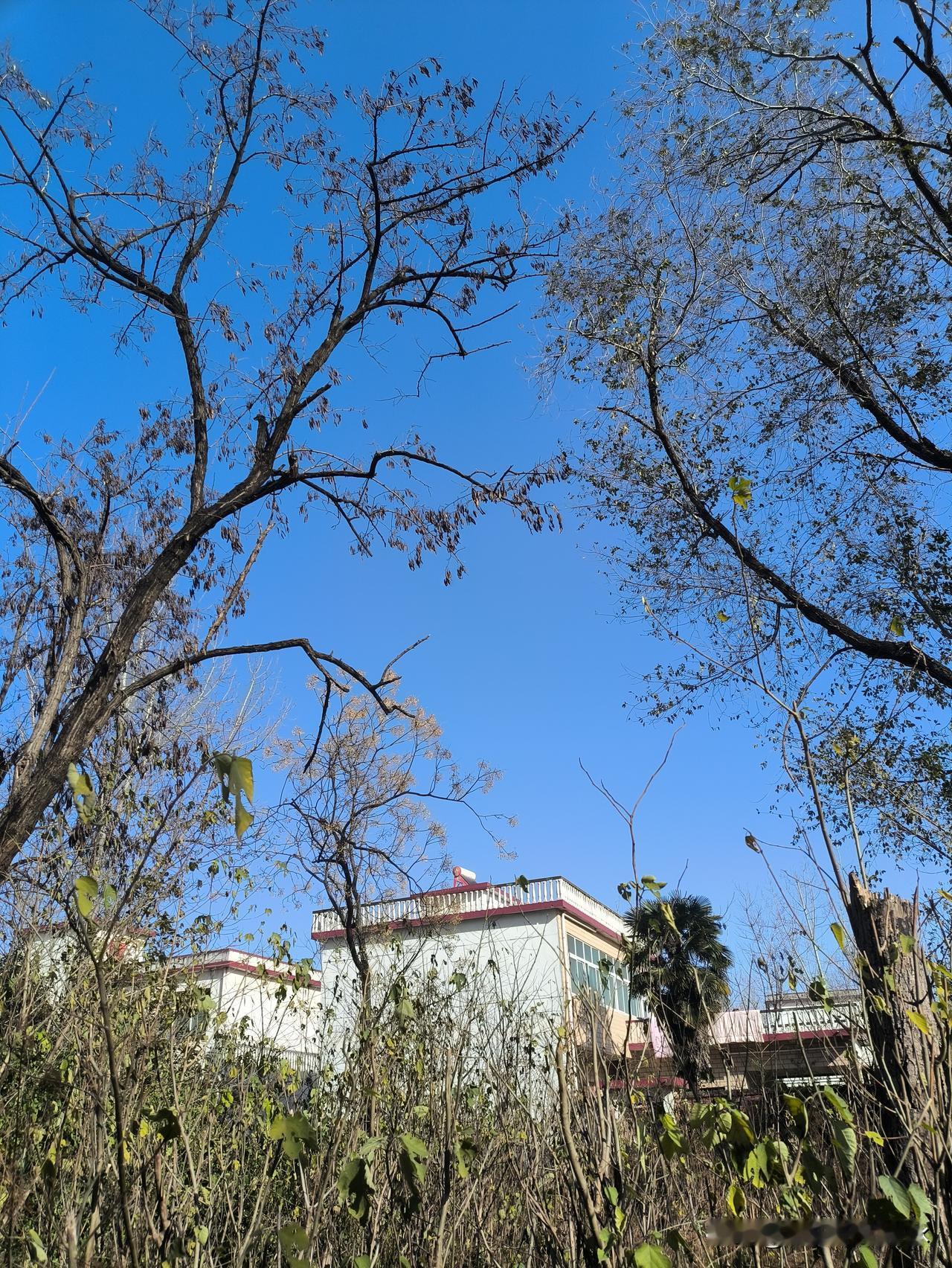 人穷了连亲人都瞧不起,你怎么看? 世界上芸芸众生，却找不到两个相貌全然相同之人，