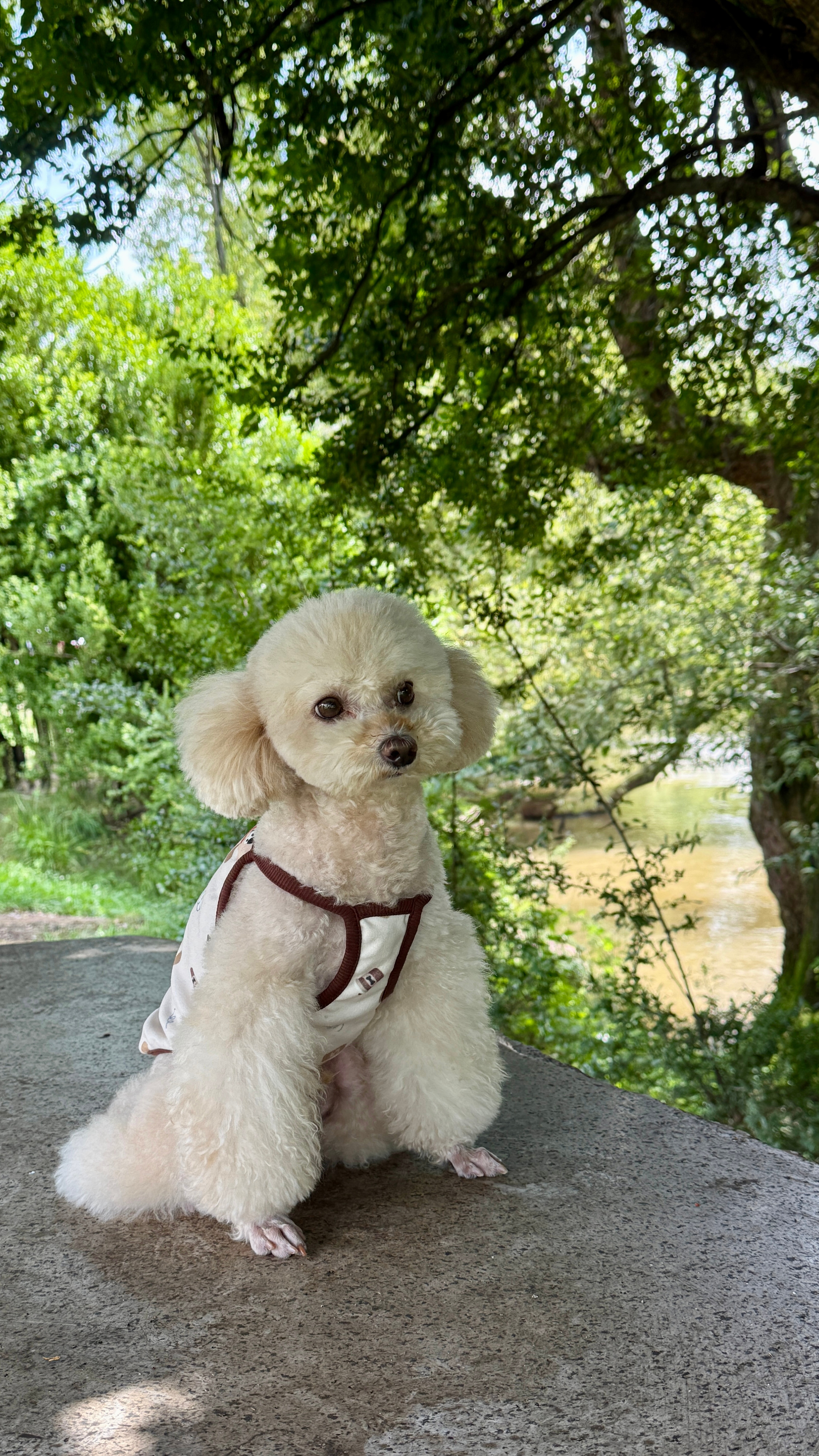 大理沙溪周边的村子都弄得挺好，很干净又很舒服！今天在刘姐家里吃丰盛午餐后，我们就