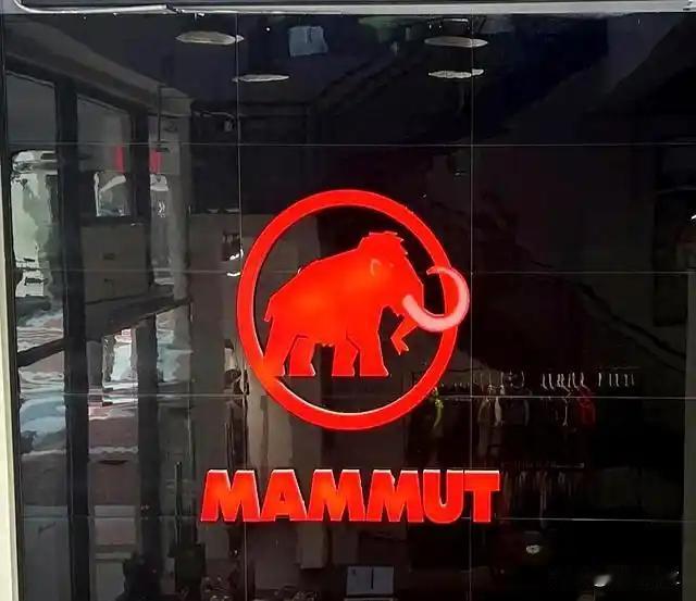 CPE源峰又出手了，这次买了个瑞士百年户外品牌猛犸象。

说实话这家机构的投资版