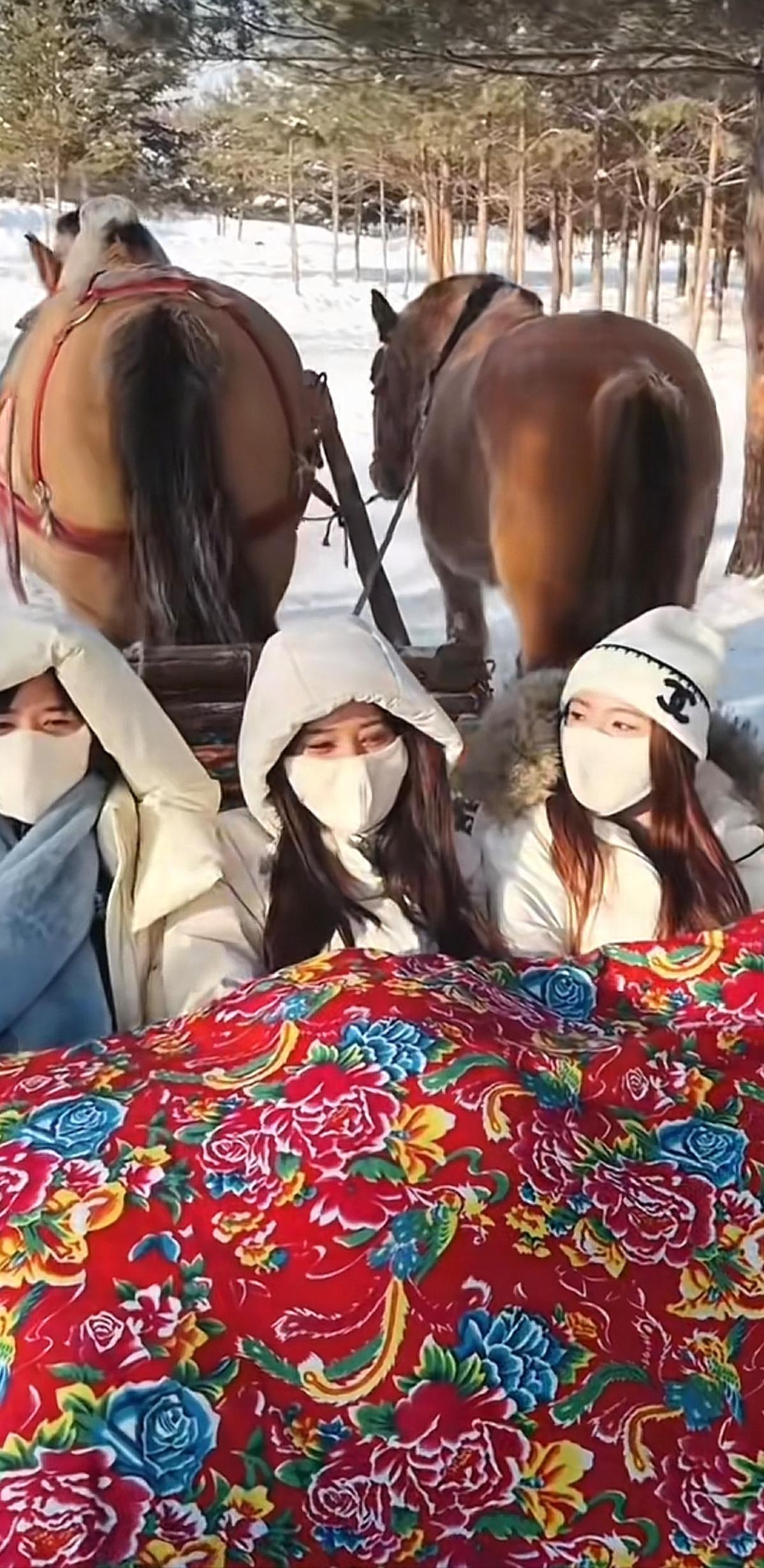 据说东北本地人，是不玩这个旅游项目的。南方游客过去旅游后，才有了这个项目。我发现