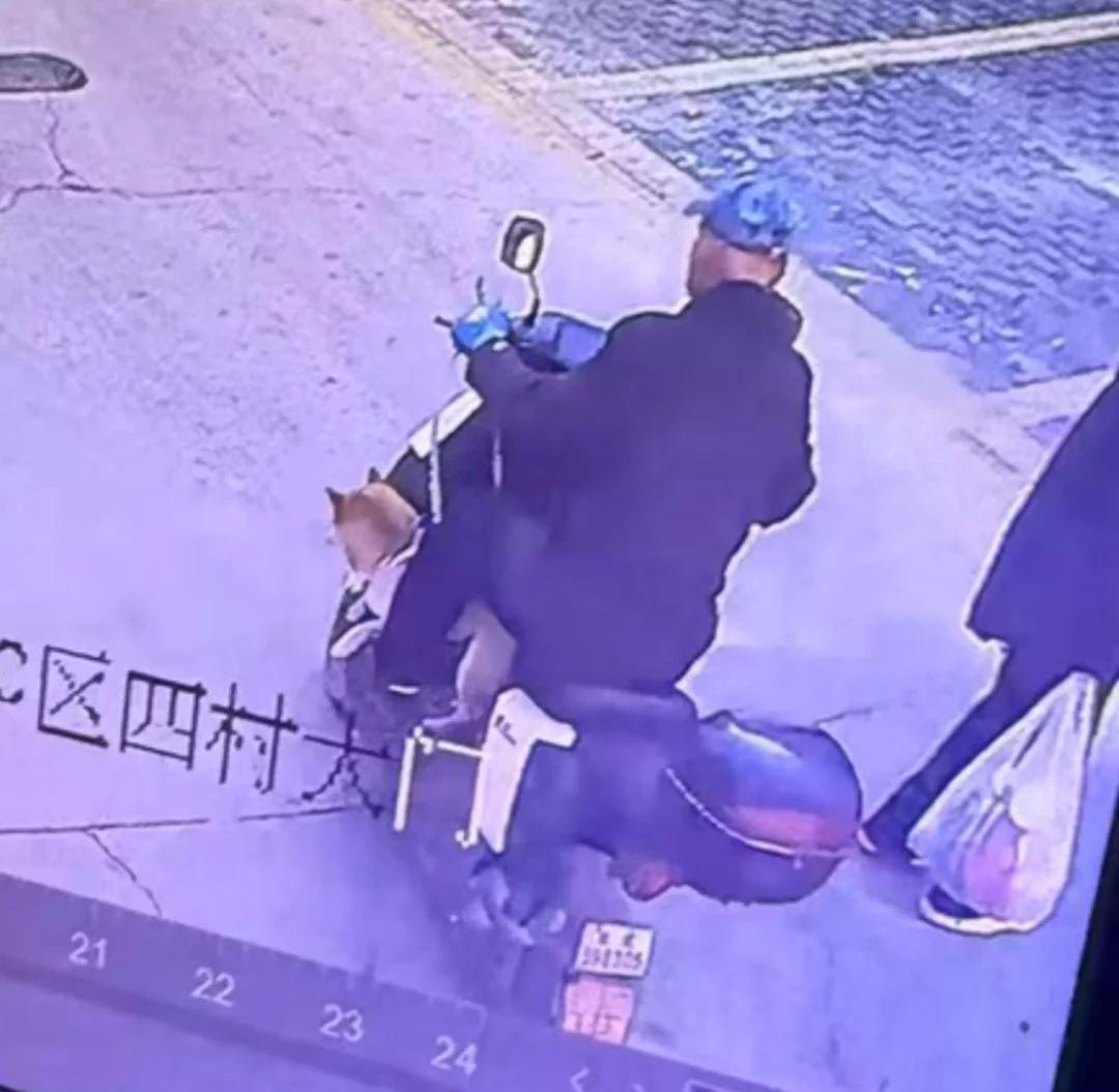 大过节还有偷狗的！
北京大兴五福堂地铁站
2026年2月18号下午13点45失踪