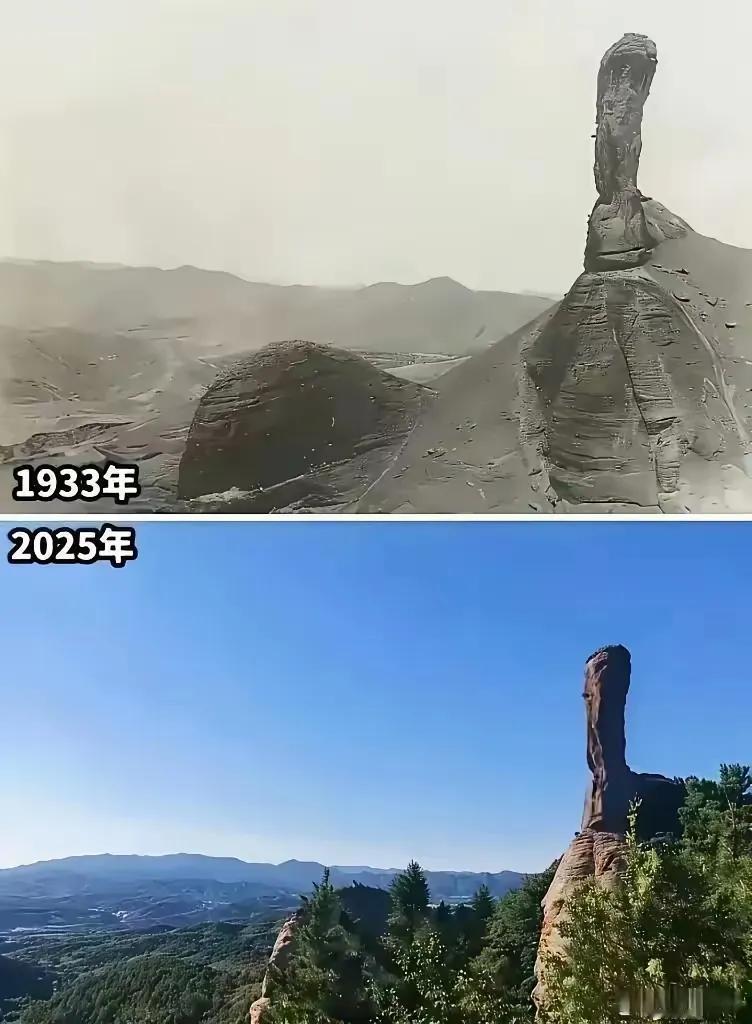 同一个地方，2025年与1933年相比，为什么以前山上不长树？