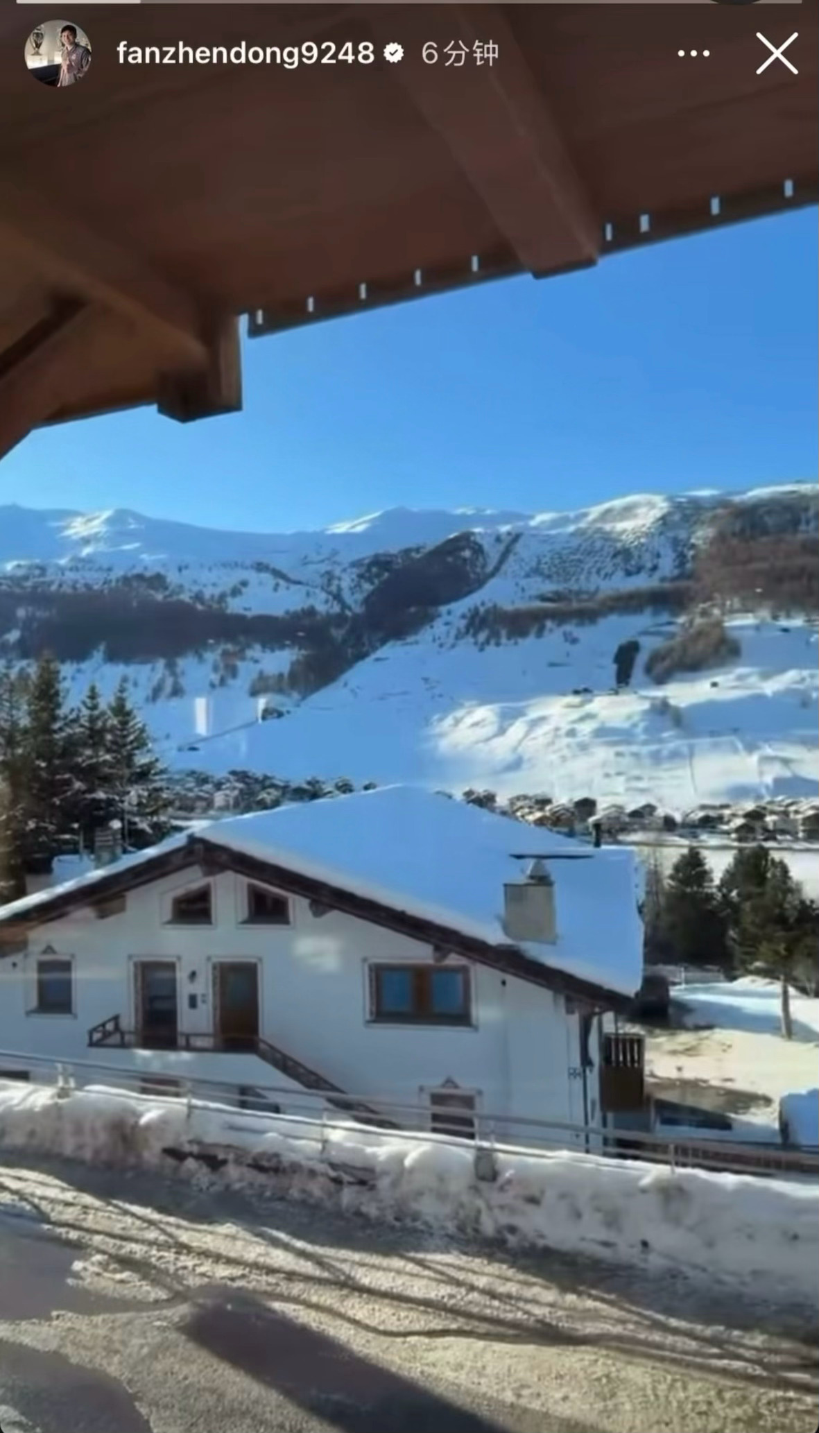 樊振东此生也算共白头