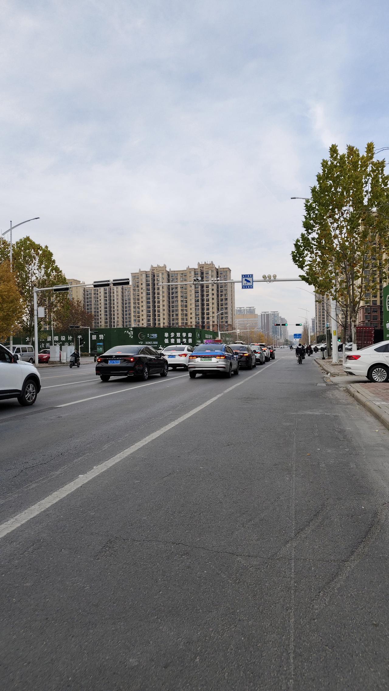 这就是普通城市午后的一条路，天有点灰蓝，路边的树叶子半黄不绿，正卡在换季的当口。