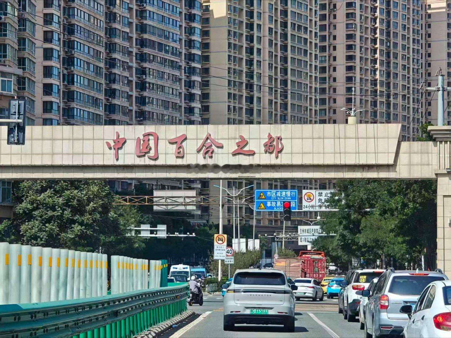 哈喽？ ​​​
