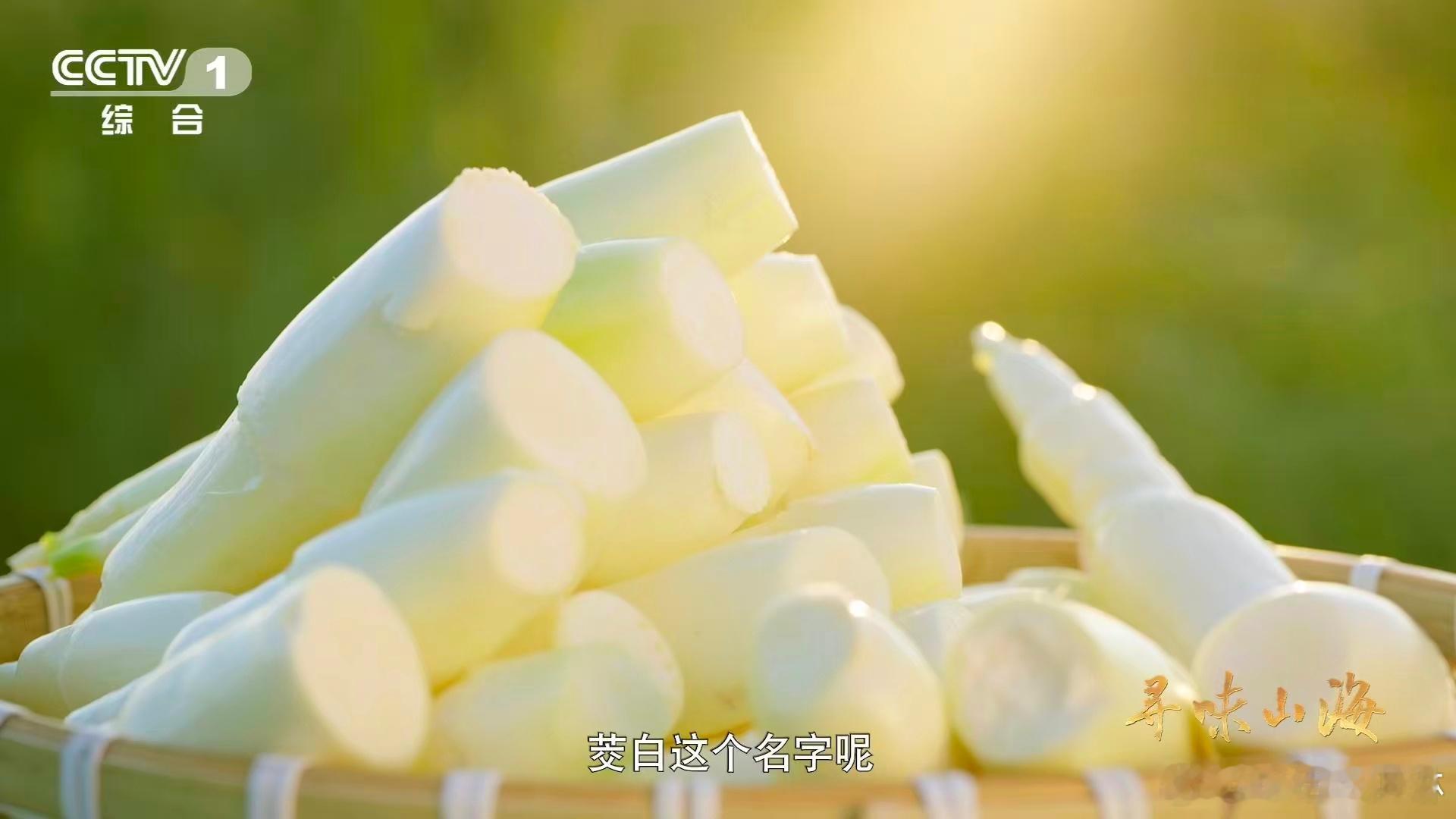 茭白原本是古人吃的粮食茭白居然和大米是亲戚江南水八仙里的浙江德清茭白，我真的能无