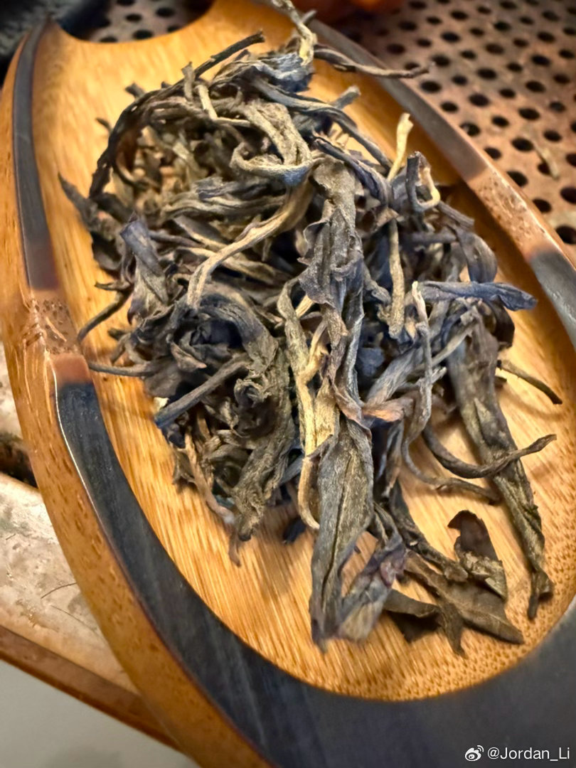 10年前买的南糯山古樹 