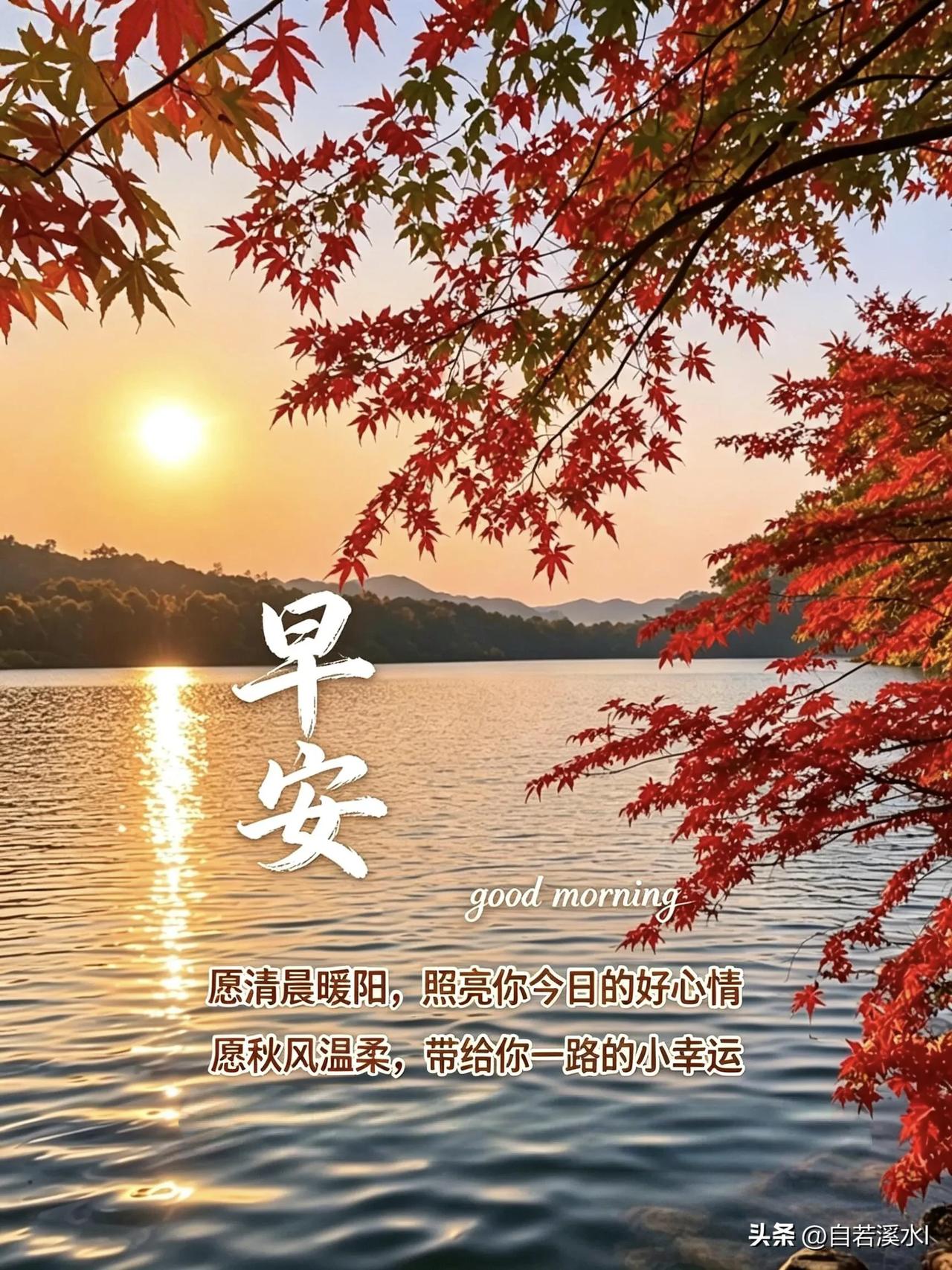  一湖晨光，满枝红枫，秋风寄暖，万事从容。