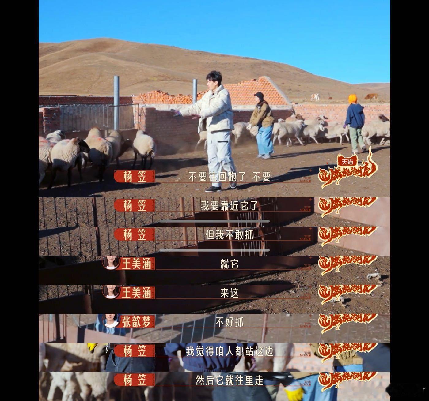 庞博搞得定代码搞不定羊  庞博哥在草原上抓羊，代码轻松搞定，羊羊却让他手足无措，