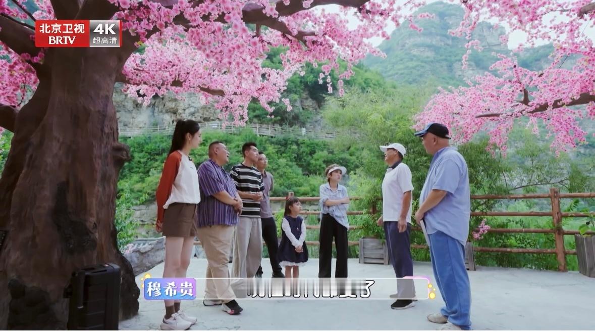 张踩铃听到穆柯寨族规反应太真实穆桂英杨宗保成婚差点坑到张踩铃心疼踩铃一秒钟，剩下