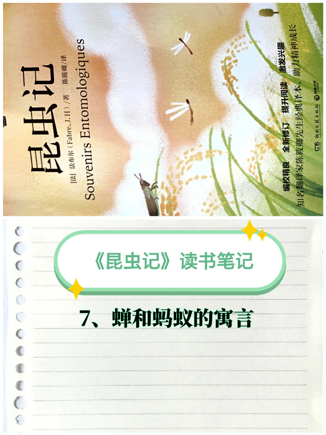 《昆虫记》笔记（7）：蝉和蚂蚁的寓言