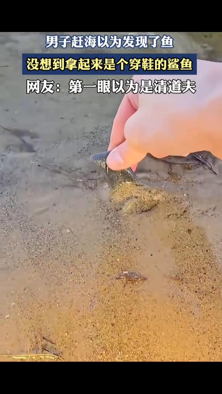 男子赶海以为发现了鱼，没想到拿起来是个穿鞋的鲨鱼。
网友：第一眼以为是清道夫。