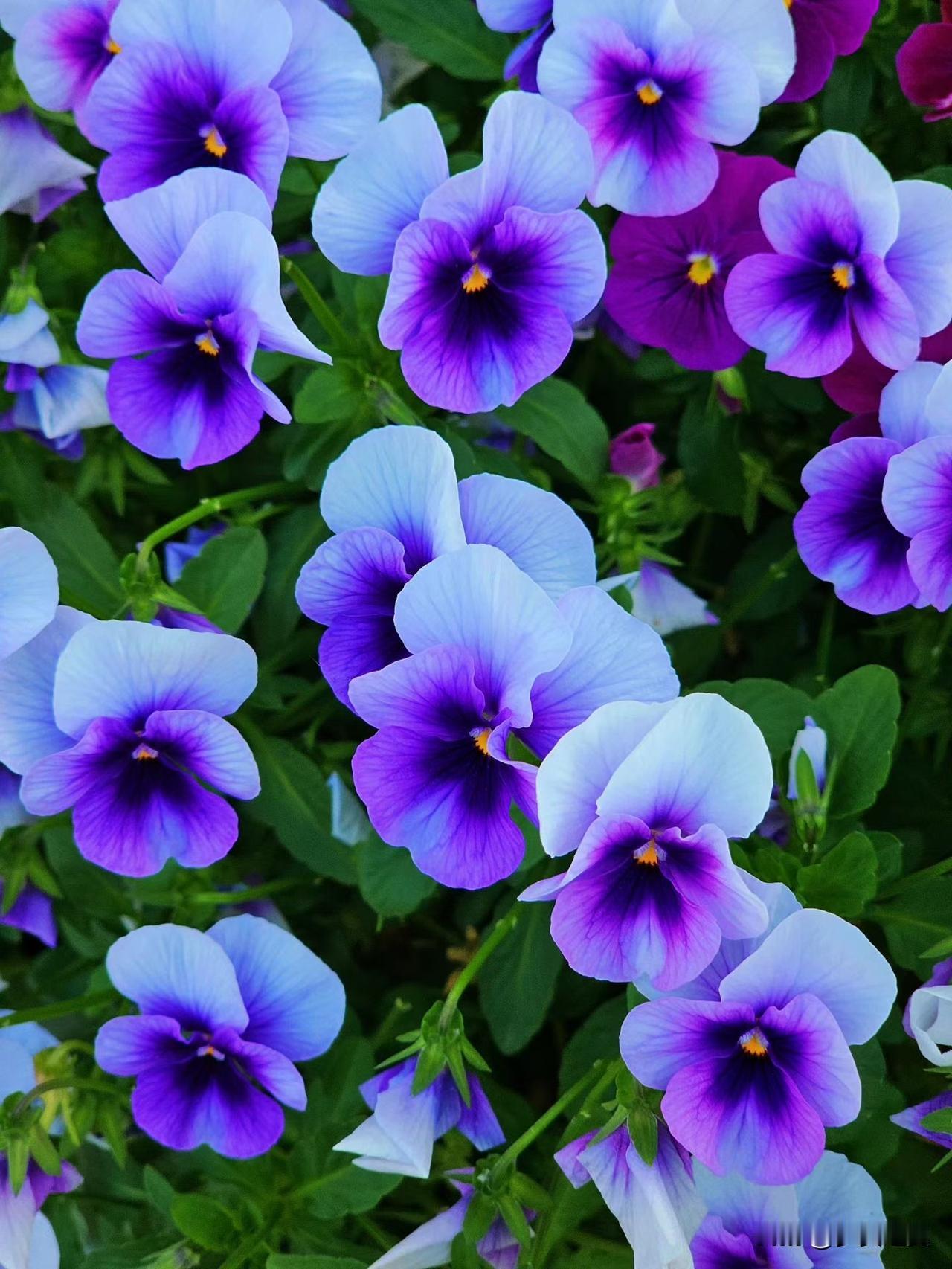 乡愁是什么,哪里才是归途? 
【小对联】
上：……？
下：新乡。