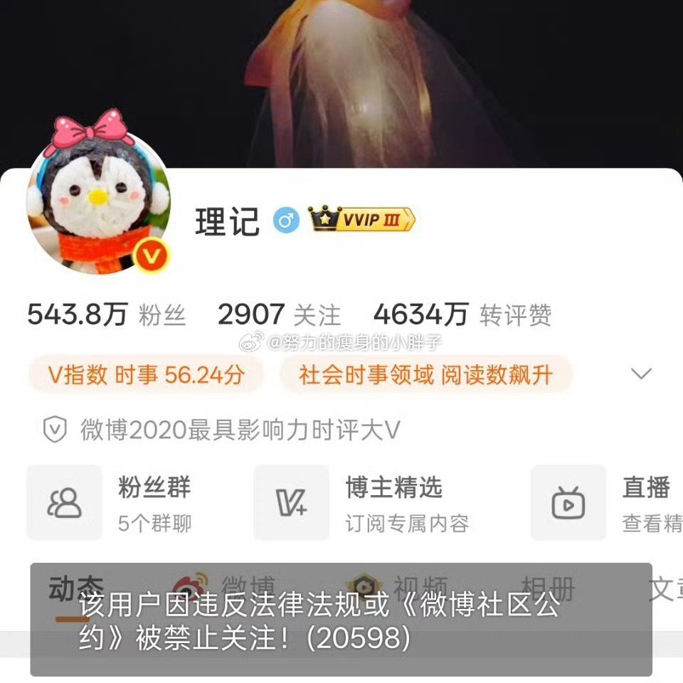理记预告20至40天后退网这人是谁呀，没刷到过，看了一下就是个百万粉丝的大V，退