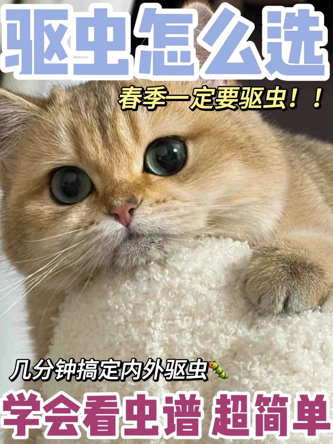 不懂猫咪驱虫怎么选？学会看虫谱很重要！