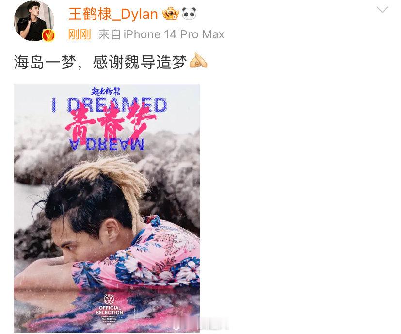 海岛一梦，如梦似幻，真心感谢魏导用他的才华与创意为我们缔造了如此奇妙的梦境，让我