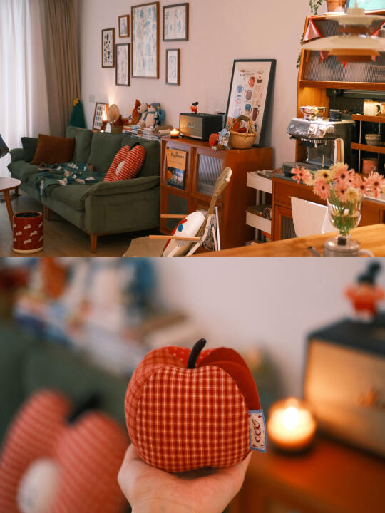 宅家幸福小记 ◡̈