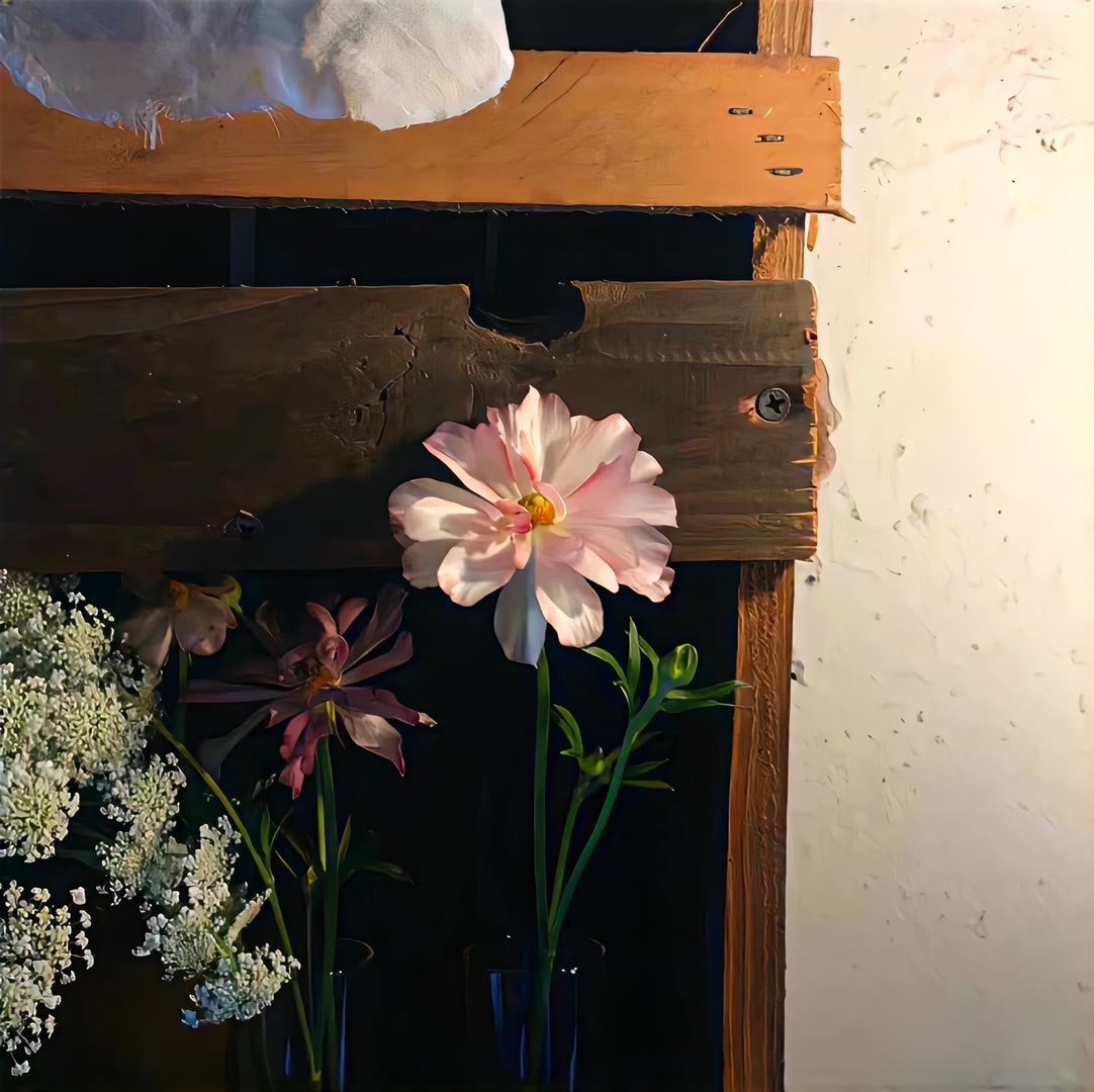 朋友圈背景图丰富一下 