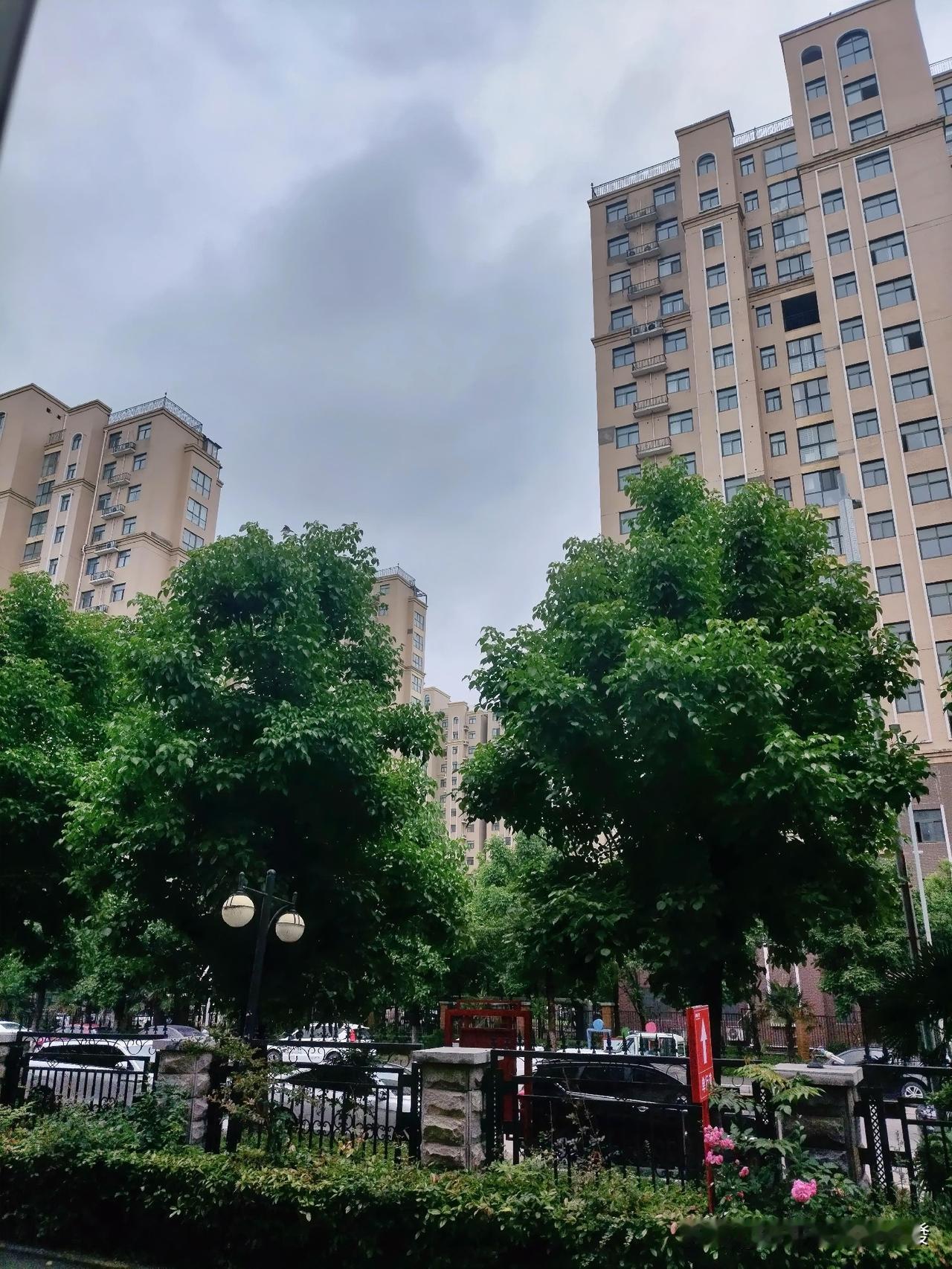 刚看了一个视频，

把我吓了一跳，

说是孩子买的手撕肉，掉地上以后

被一群蚂