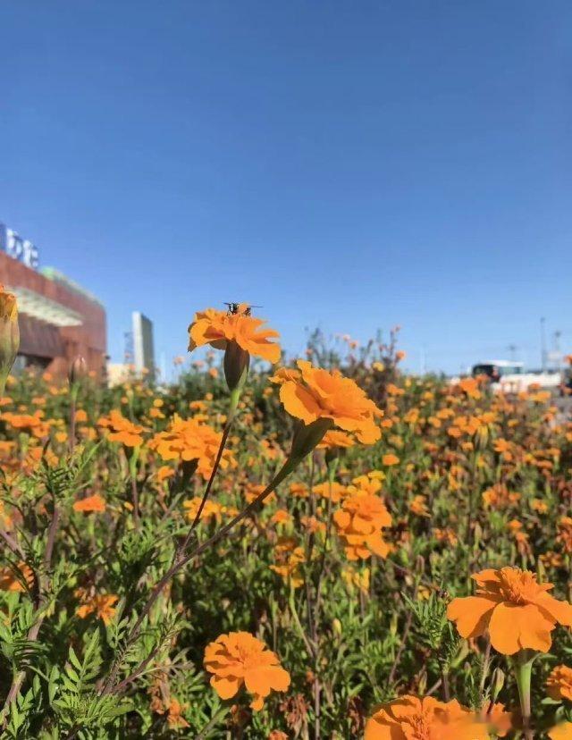 机会在大跌中产生，但大跌时你又未必敢进场，看着周五晚间美股涨起来，看着消息面的利