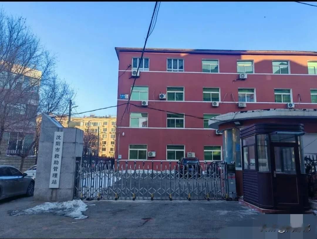 我到今天才知道原来还有“男性家暴庇护中心”！

而且这个庇护中心在东北！[捂脸]