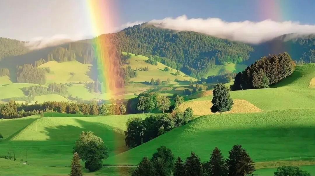 每一天都是人生的礼物，晚安，珍惜每一个来之不易的时刻。 