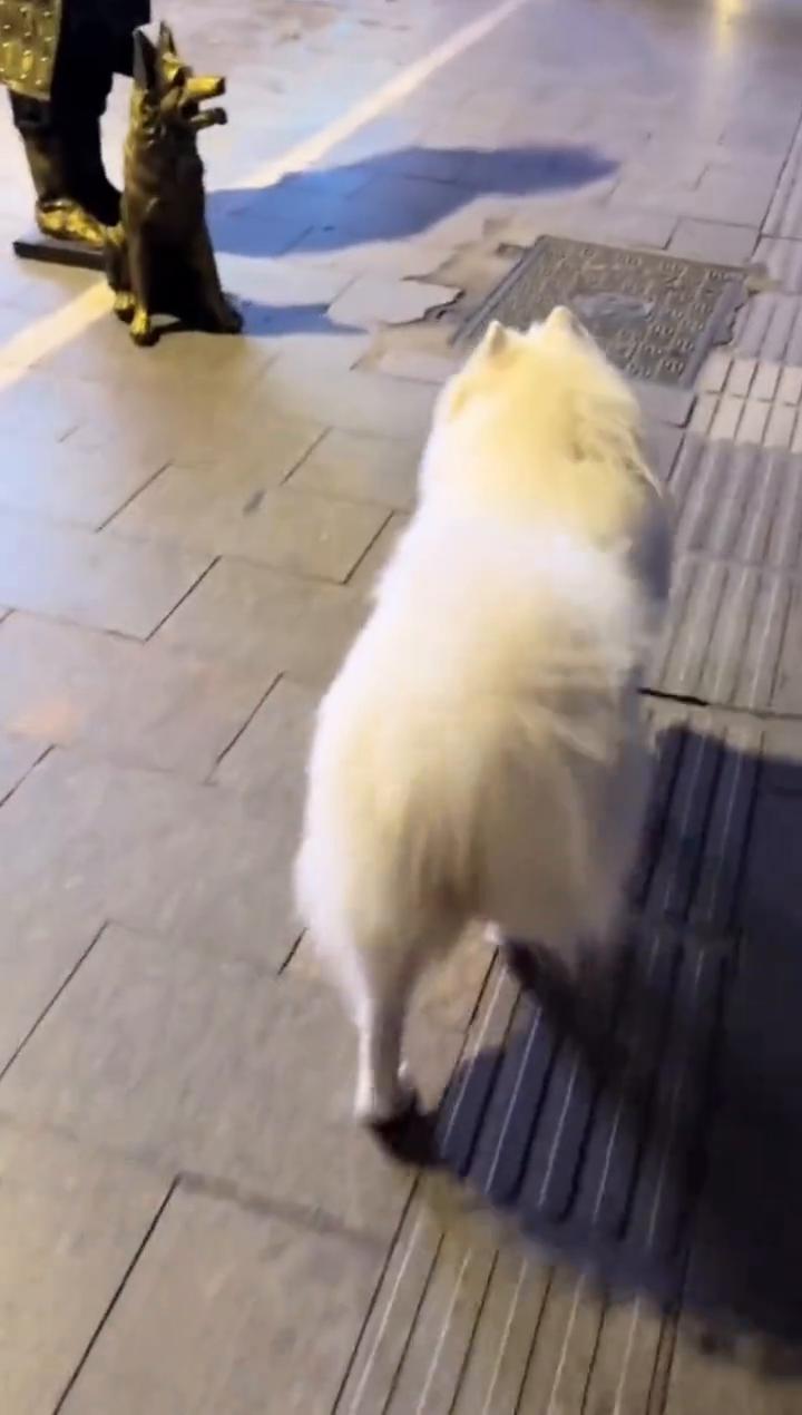 哈哈哈。