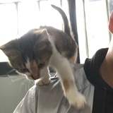 李谦爱玩社会