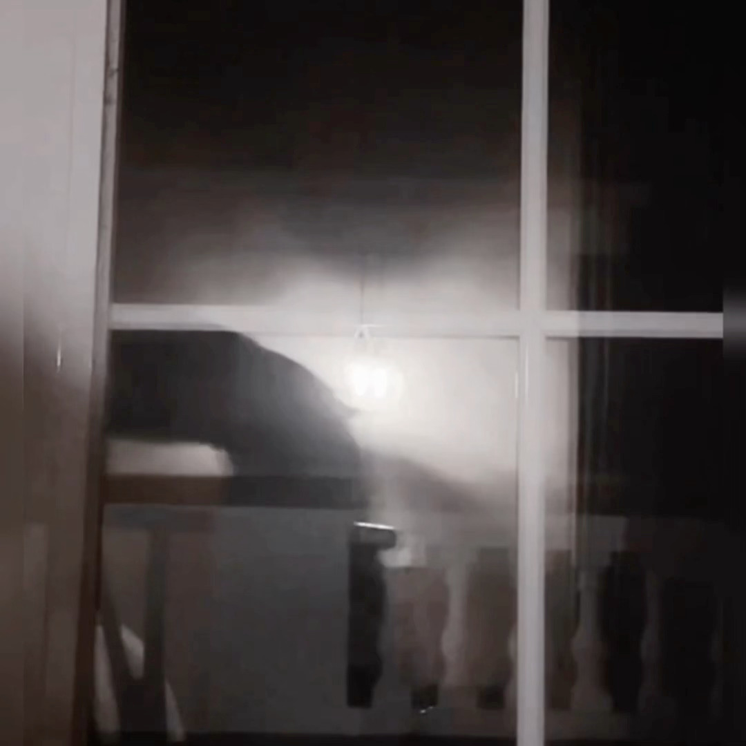 危险🆘  危险🆘 危险🆘 