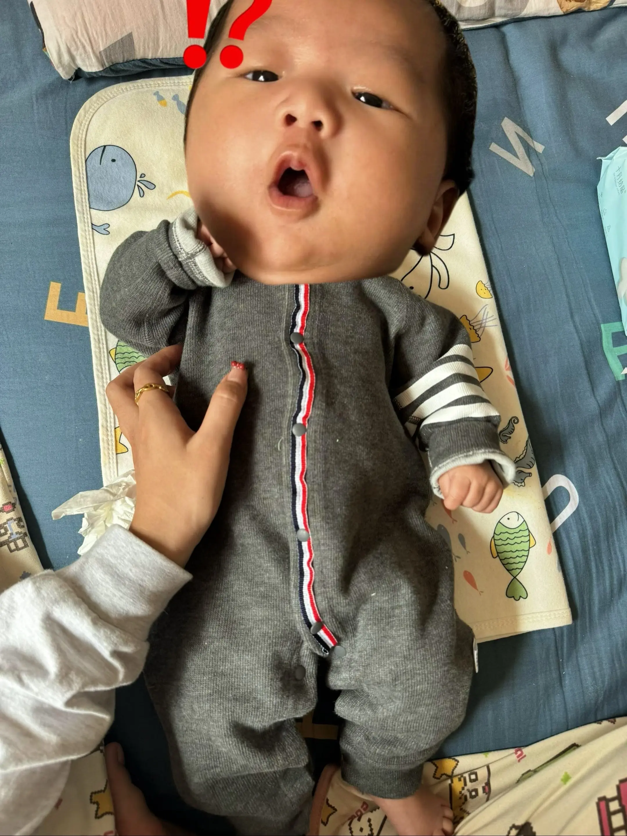 生的时候只给我说头大，也没说这么大呀。
