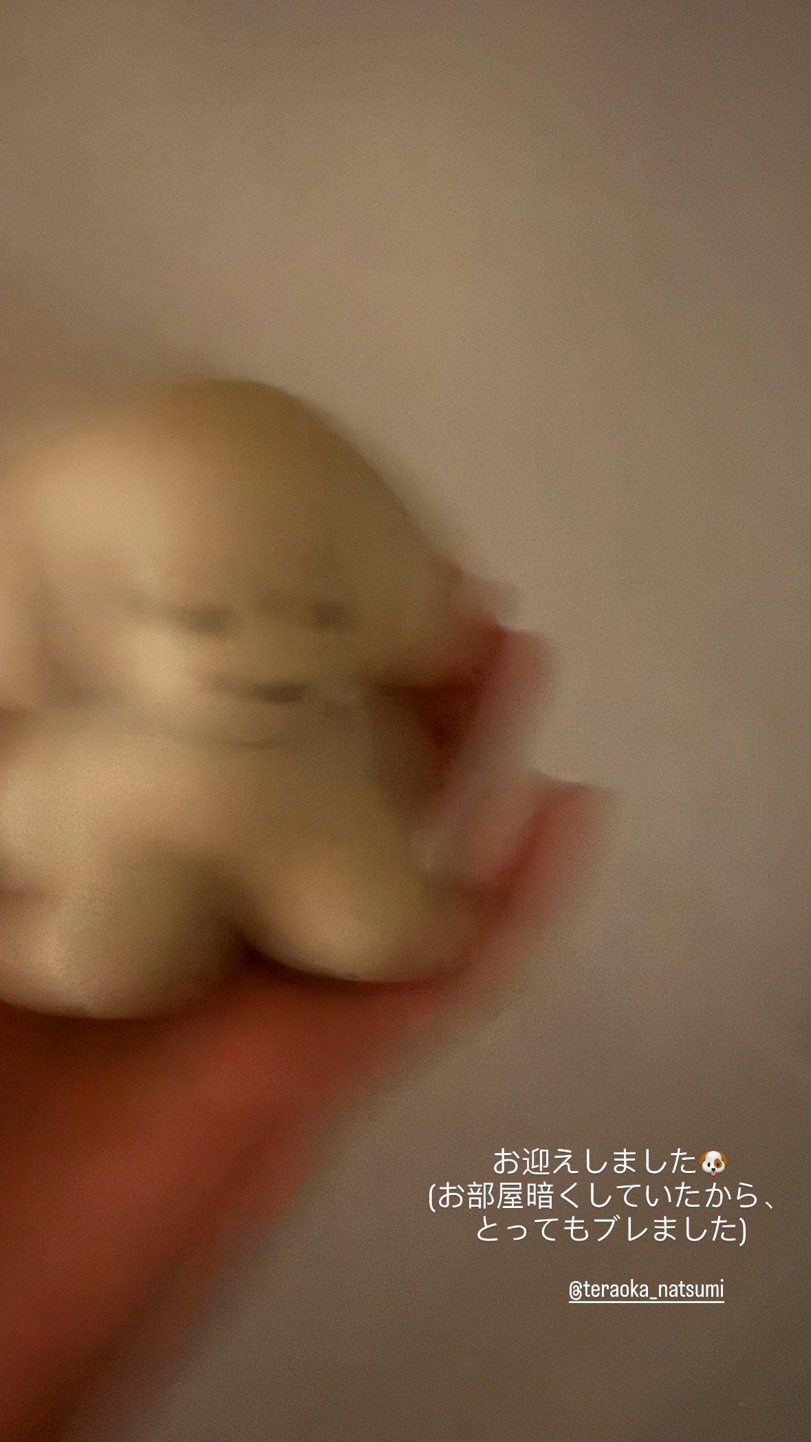 鈴木絢音 ​​​