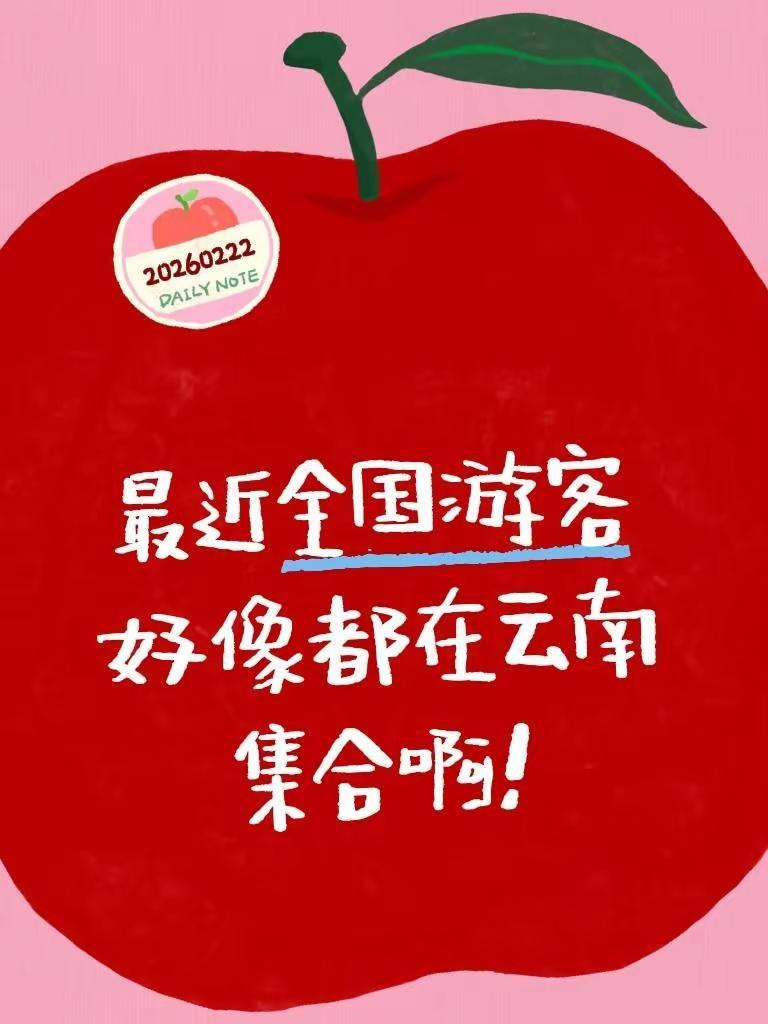 最近全国游客好像都在云南集合啊！