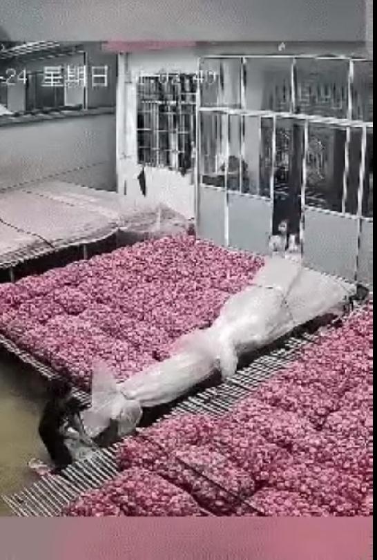 上人民日报了。
近日，江苏两个小孩立大功了，他们的举动，直接让全网都竖起了大拇指