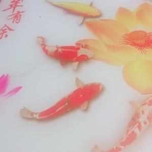 招财锦鲤