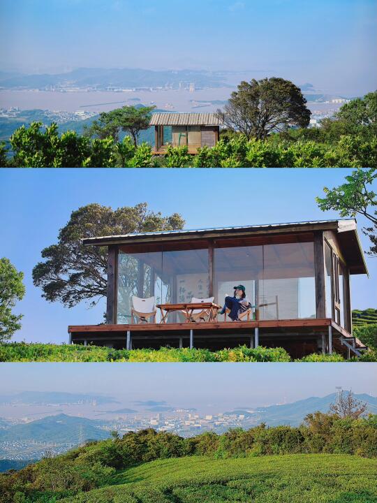 舟山旅行 | 不是京都🍵是天空之城茶园小屋